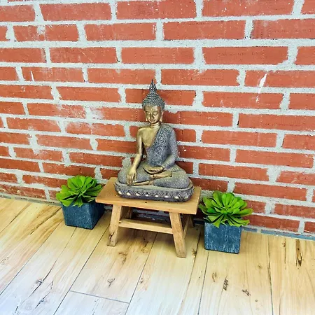 Apartment Ecochic In Center *
